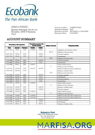 Printable Chad Ecobank bank statement word template